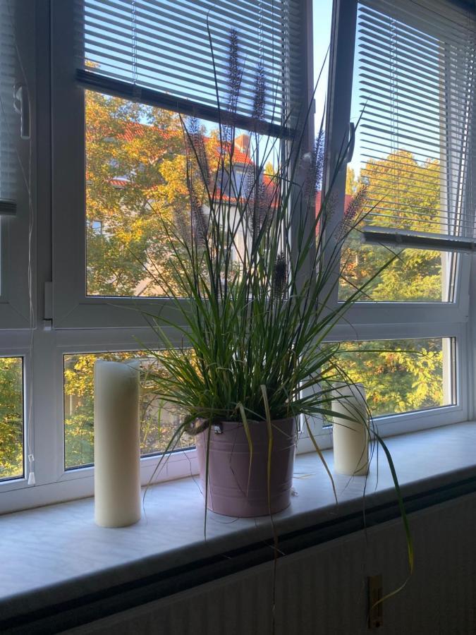 Central City Privatapartment Relax-Inn, Netflix & Sky Tv! Hannover Exterior photo
